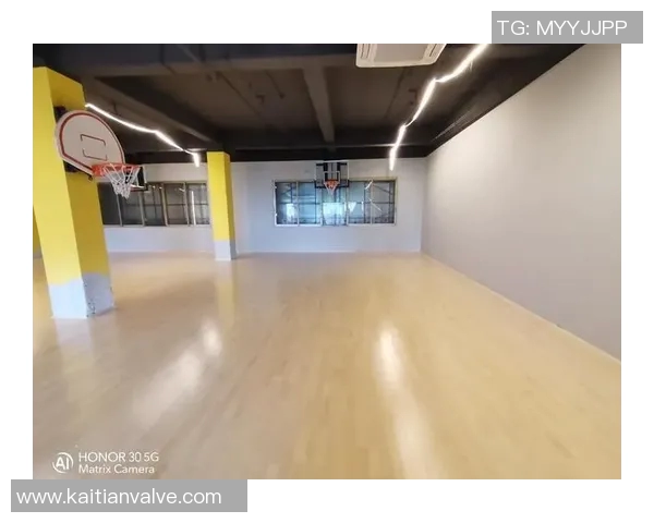 优质体育木地板品牌推荐助您打造完美运动场地体验