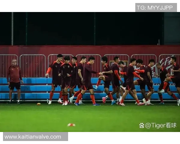 国足夺世界杯冠军的全新战略与实施计划探讨